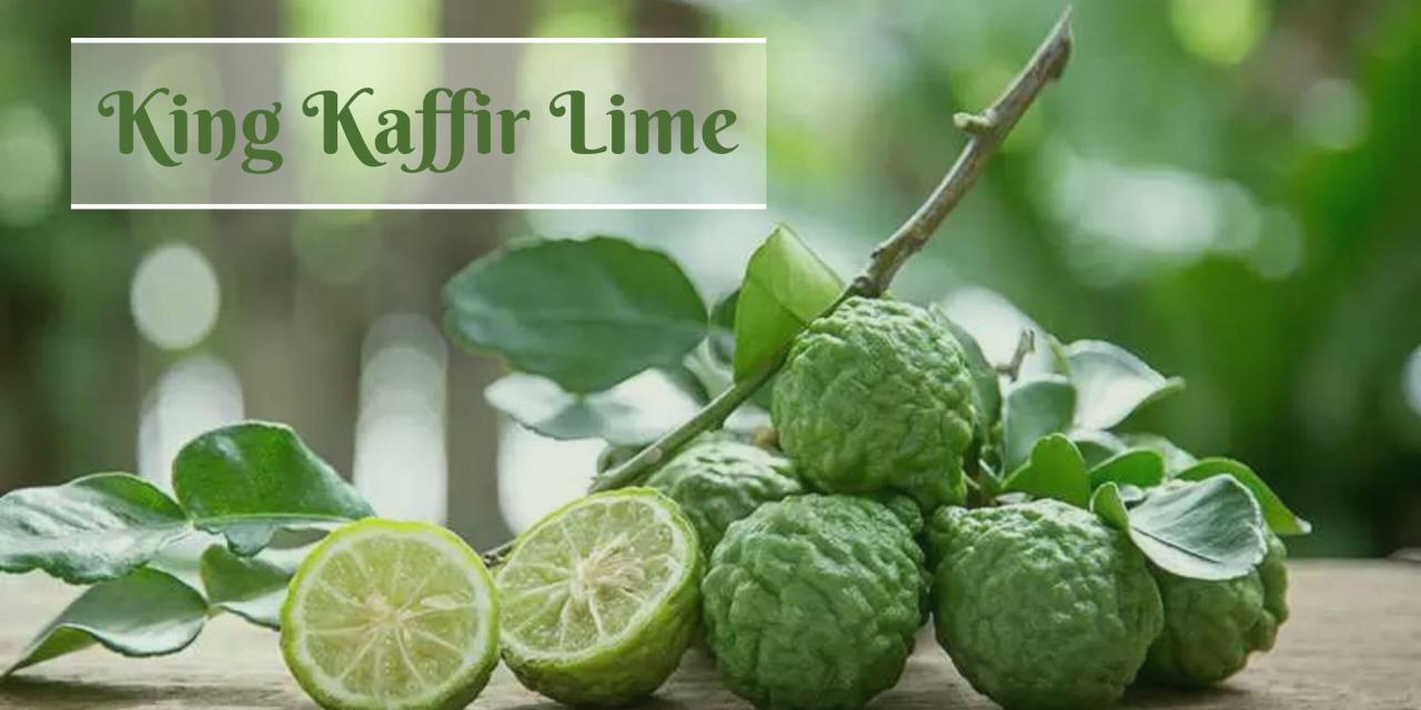 Kaffir Lime Leaf: Health Benefits & How to Use It