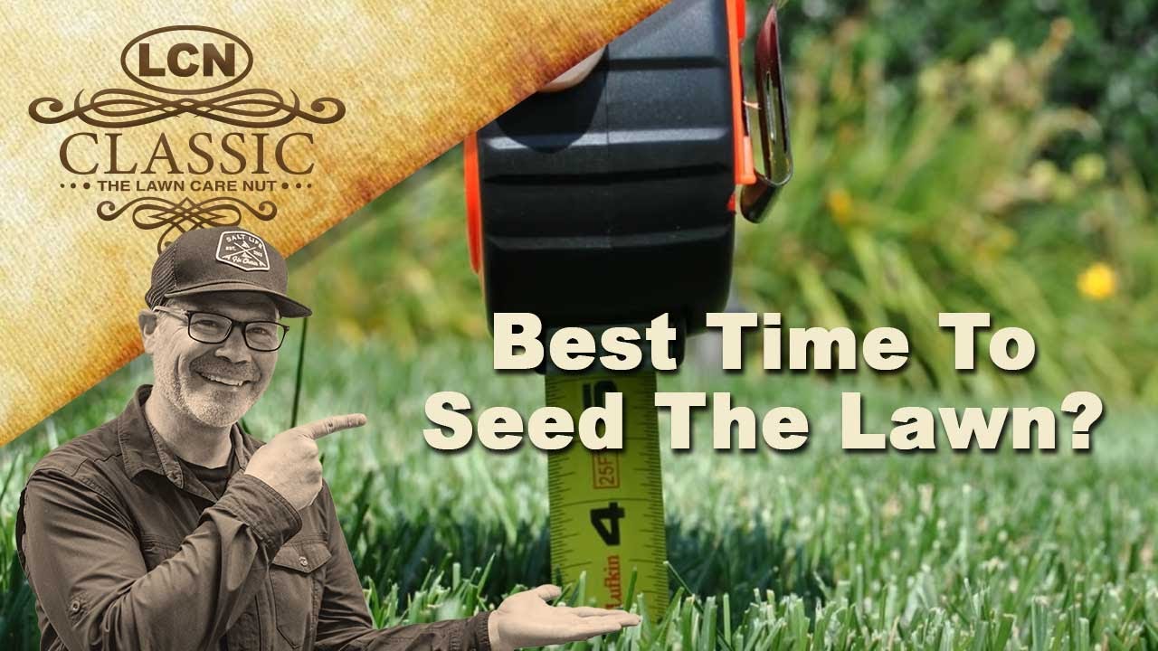 When Is the Best Time to Sow Grass Seed? Essential Tips for Lawn Perfection