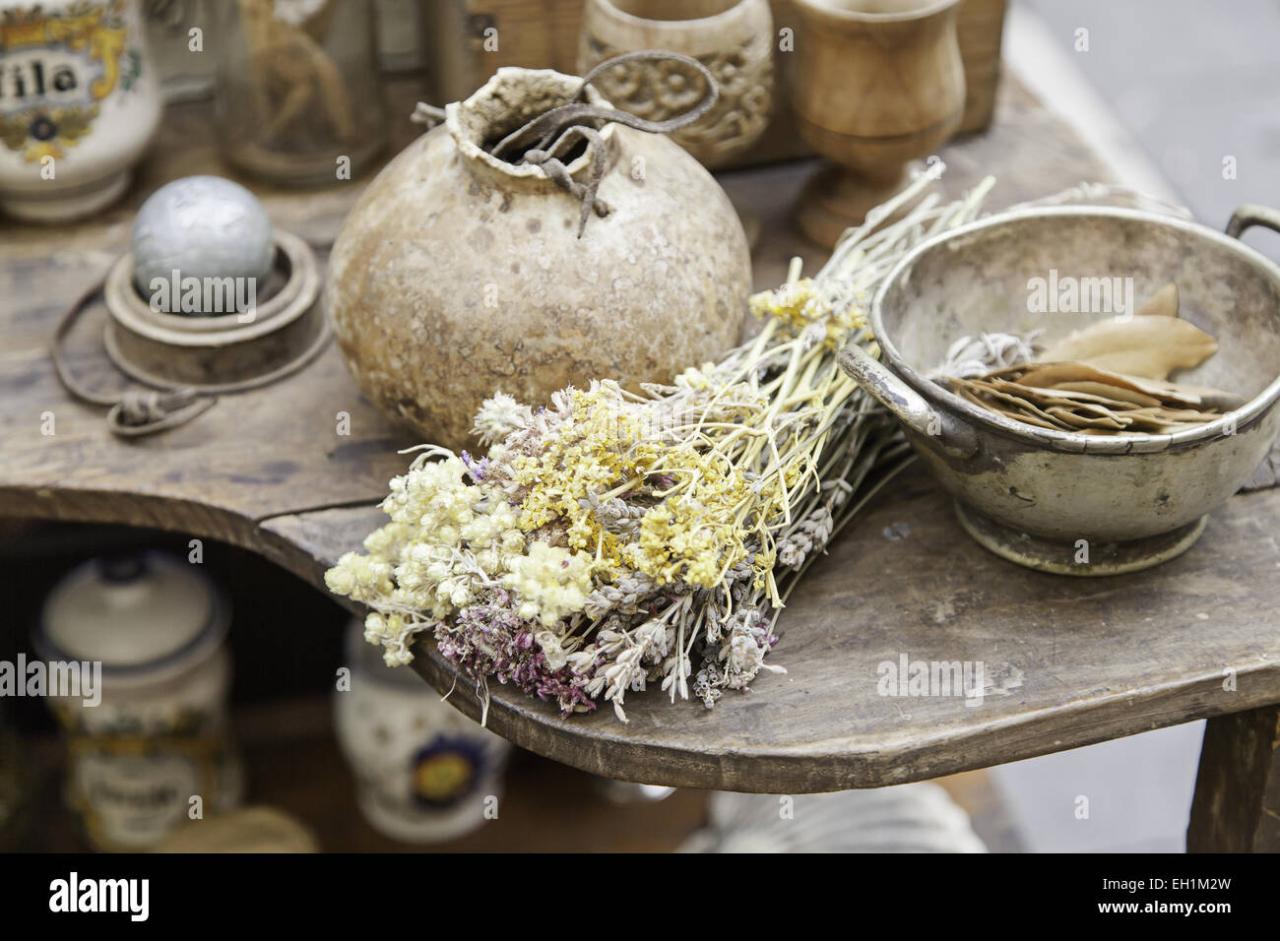 How to Incorporate Aromatic Labiate Plants into Folk Medicine Practices